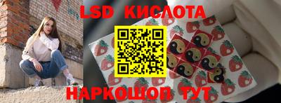 ECSTASY Владимир