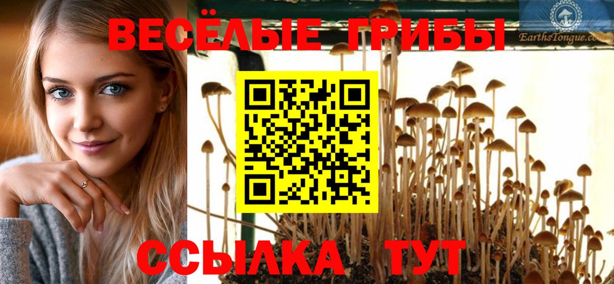 Галлюциногенные грибы прущие грибы  Вход с VPN  Галлюциногенные грибы мухоморы  Вышний Волочёк 