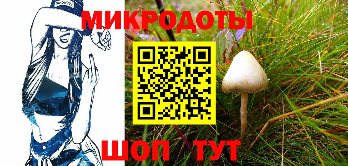 Псилоцибиновые грибы Psilocybe Вышний Волочёк